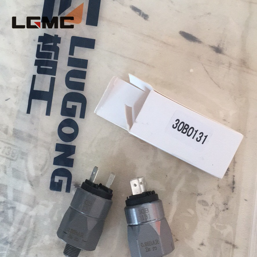 30B0131	30B0131	pressure switch; fittings