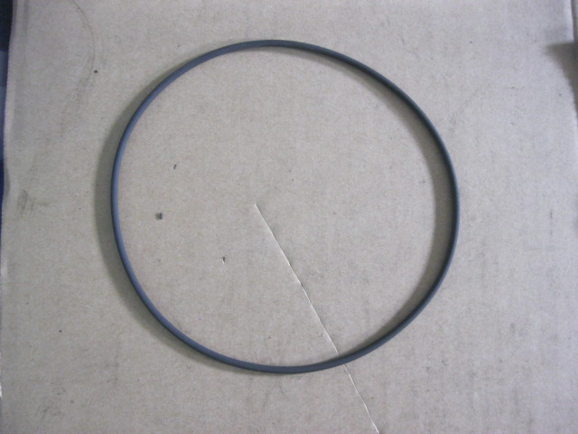 SP100076	ZF.0634313249	O-ring