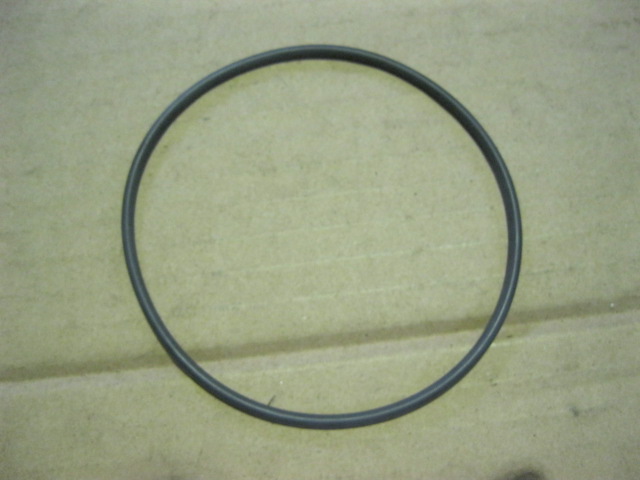 SP100078	ZF.0634313369	O-ring