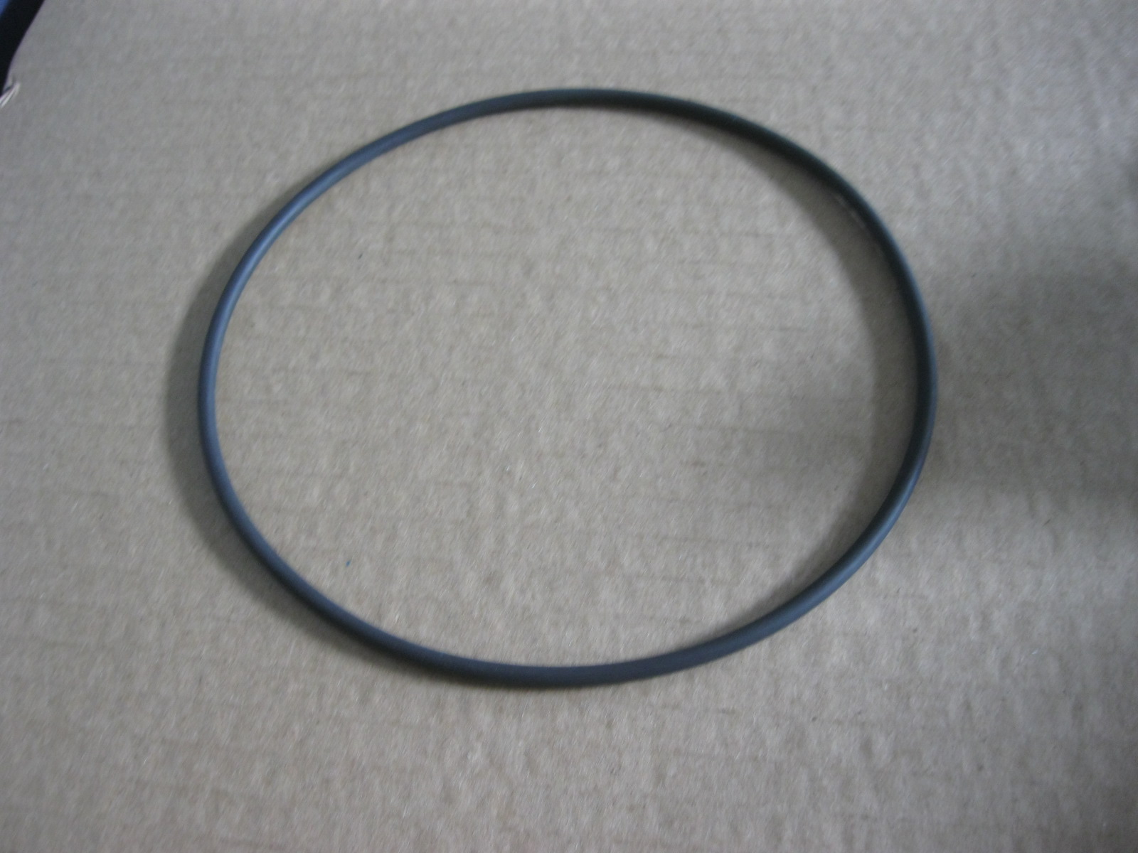 SP100079	ZF.0634313487	O-ring