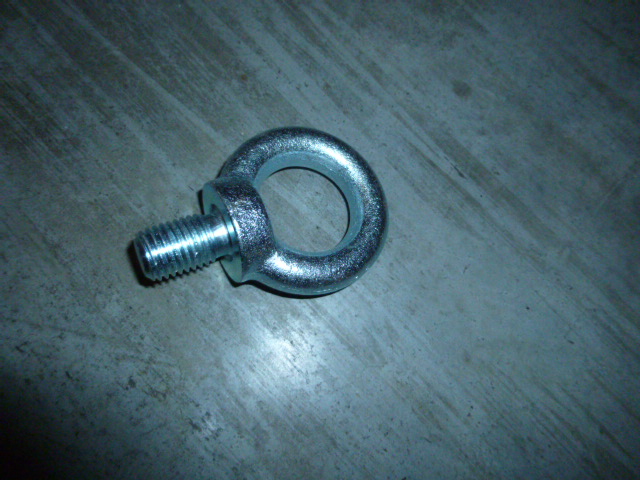 SP100119	ZF.0636804003	eyebolt