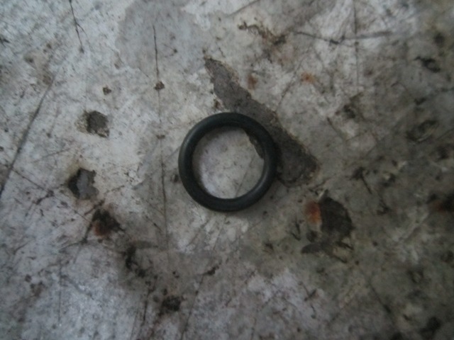 SP100603	G3910824	sealing ring