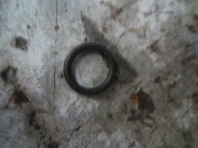 SP100603	G3910824	sealing ring