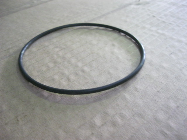 SP100614	G3940386	water pump seal