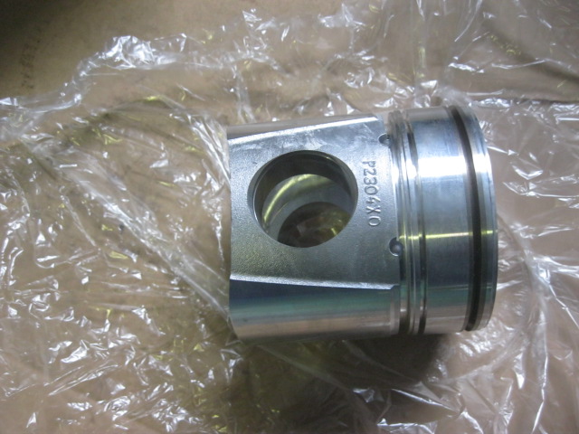 SP100671	6BT.3926631	piston