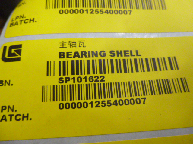 SP101622	C06AL-4W5738+A	main bearing