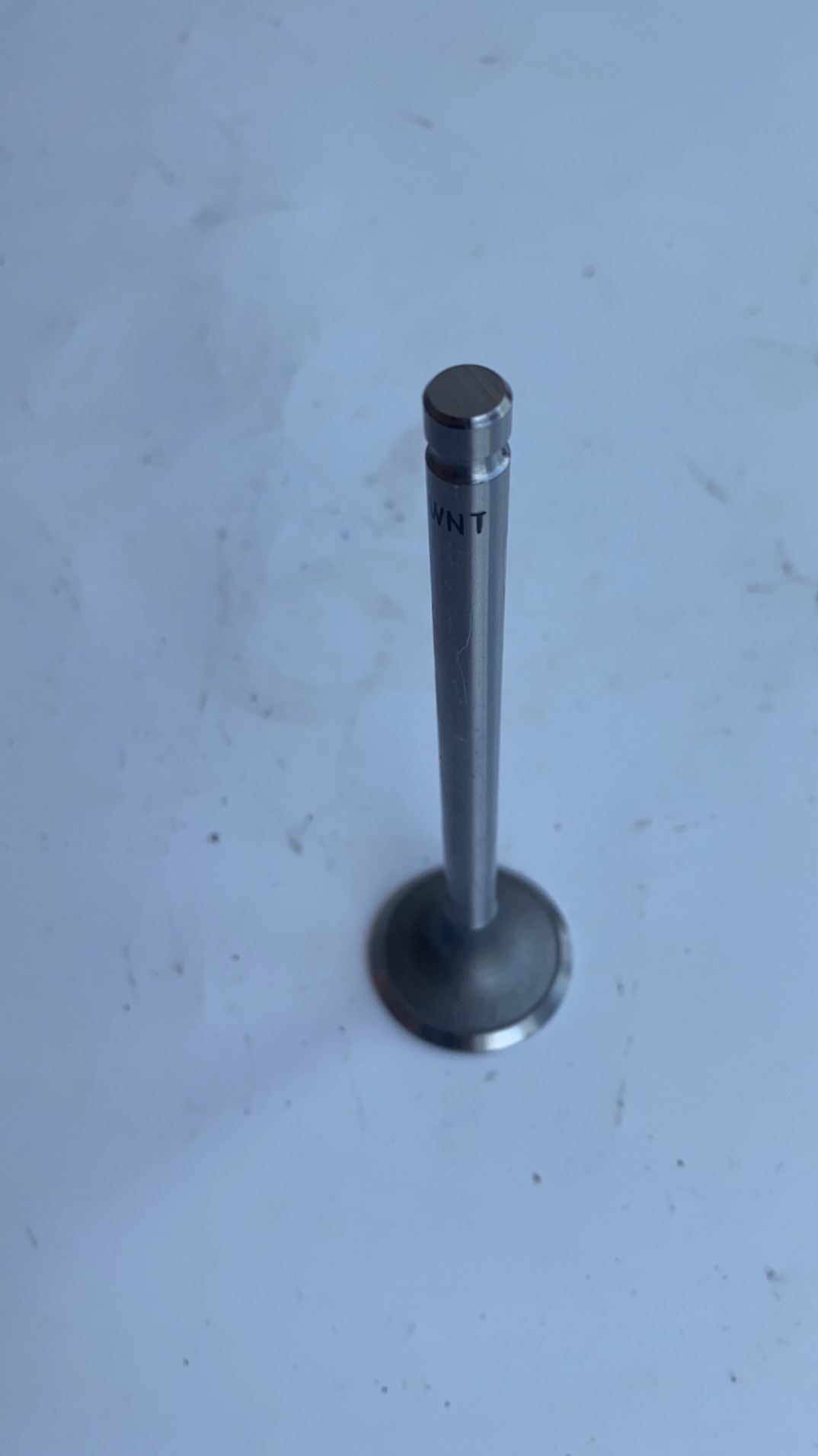 490 		exhaust valve