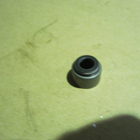 SP105245	13023391	Valve stem oil seal sleeve