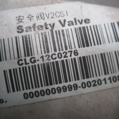 12C0276		Safety valve V2CSl