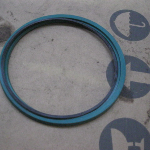 13B0071	BU011800656	Sealing ring BU011800656