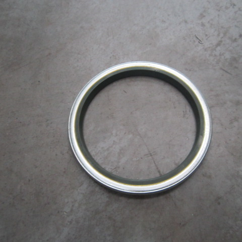 13B0260	13B0260	Dust ring